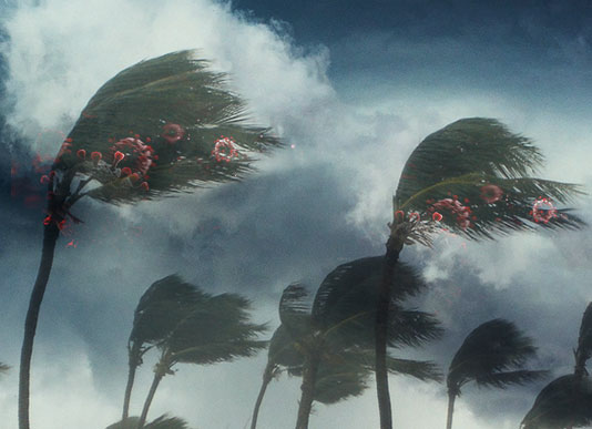 COVID-19 Hurricane Season